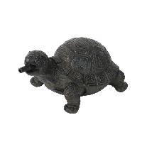 Sujet cracheur d'eau Tortue                                                     