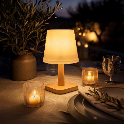 Lampe de table solaire 25 lumens                                                