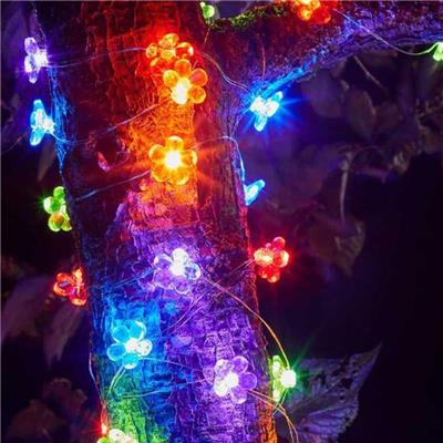 Guirlande solaire 30 Fleurs de couleur, 30 leds                                 