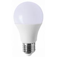 Ampoule LED 12V 24V DC E27 6W 550 lumens blanc chaud
