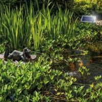 Fontaine solaire Grenouille paresseuse  380 l/h maxi