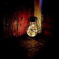Lanterne solaire métal filament 12 LEDs Firefly