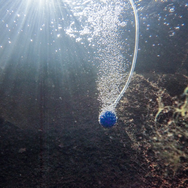 Pompe à air d'eau solaire, réservoir de poisson Oxygénatrice