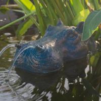 Hippopotame flottant cracheur d'eau                                             