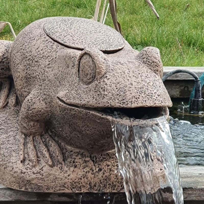 Gargouille grenouille cracheuse d'eau