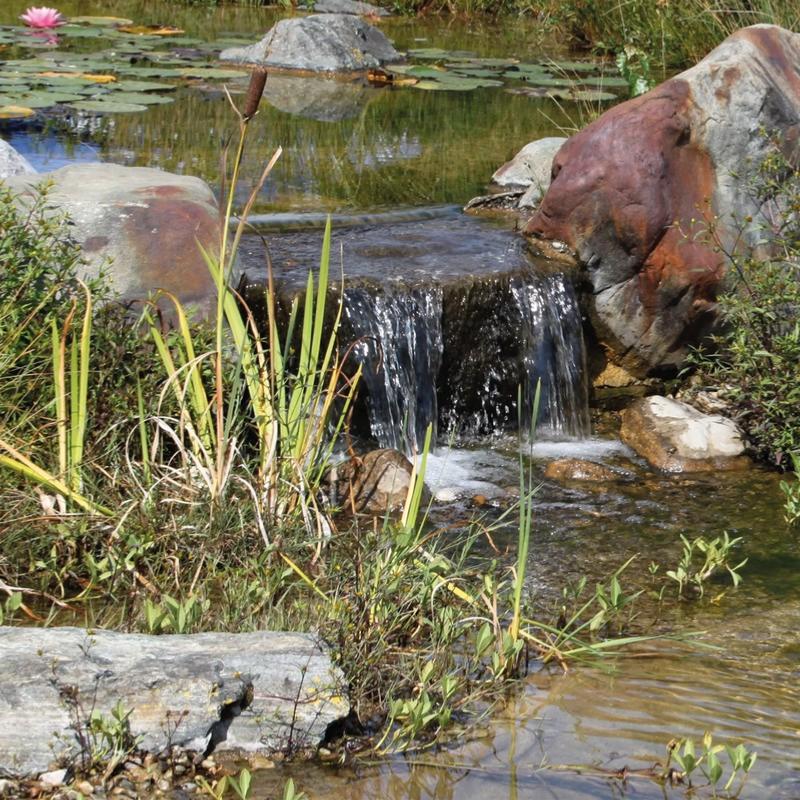 Pompe solaire pour étang - Fontaine avec batterie - Achat/Vente decoration  de jardin pas cher 